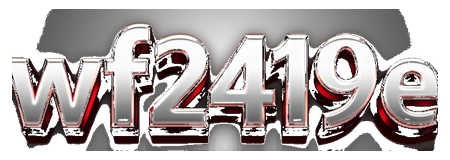 wf2419e logo